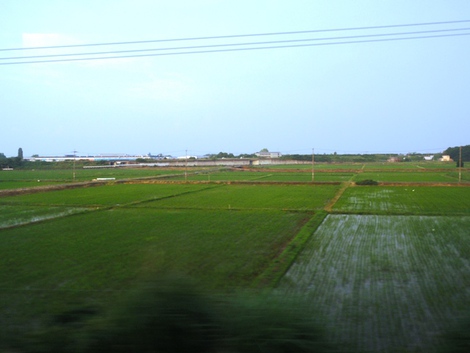 白紫陽花~~湖西線車窓風景～～