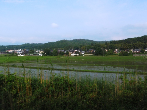 ６月１７日～～湖西線車窓から