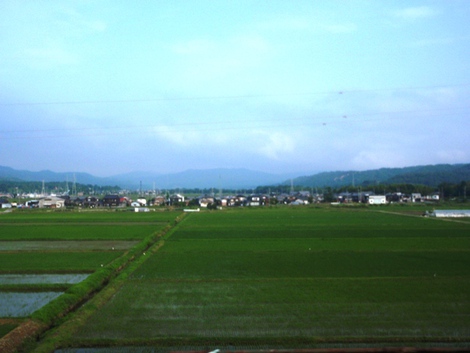 ６月１７日～～湖西線車窓から