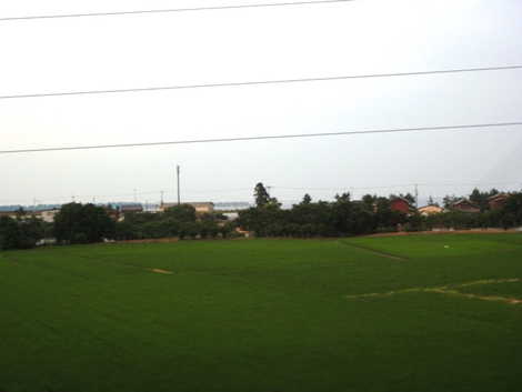 ６月２４日~湖西線車窓から高島市内