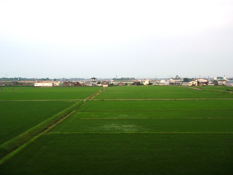 ６月２４日~湖西線車窓から高島市内