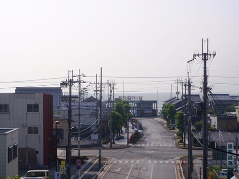 湖西線車窓から～～緑