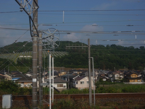 湖西線車窓から～～緑