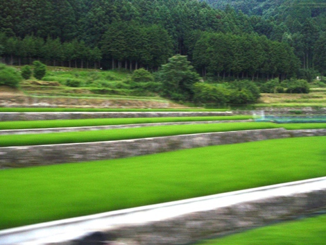 月曜日～～湖西線車窓７月６日