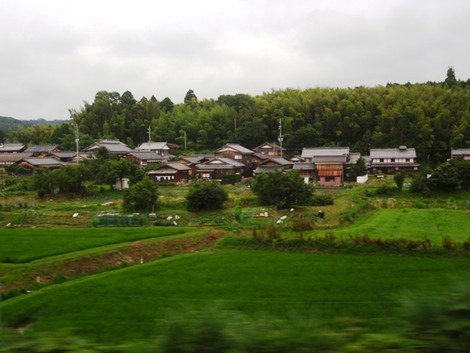 夏模様になった・・湖西線車窓風景