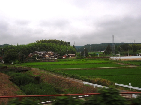 夏模様になった・・湖西線車窓風景