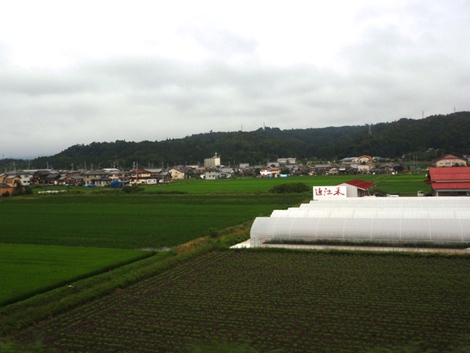 夏模様になった・・湖西線車窓風景
