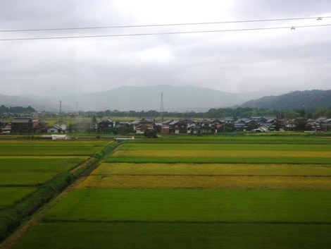 夏が去る～～湖西線車窓風景