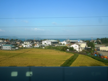 湖西線車窓から・・高島市田園を