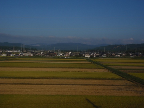 晴れが・・続きそうです