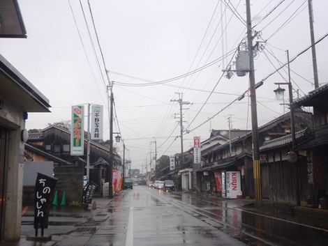 メタセコイヤ～高島市小雨の連続～草津市は・・