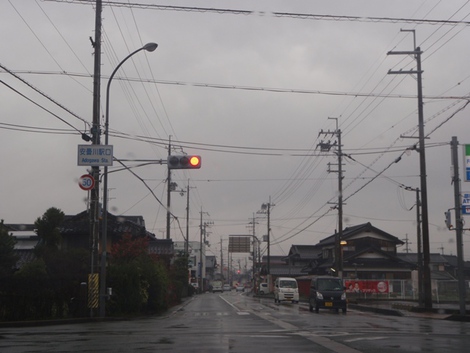 メタセコイヤ～高島市小雨の連続～草津市は・・