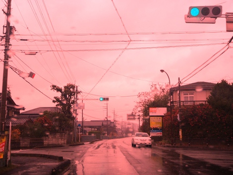 メタセコイヤ～高島市小雨の連続～草津市は・・