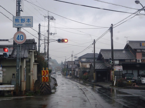 メタセコイヤ～高島市小雨の連続～草津市は・・