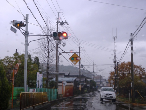 メタセコイヤ～高島市小雨の連続～草津市は・・