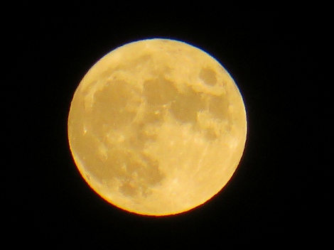 中秋の名月・・２０２２年の夜