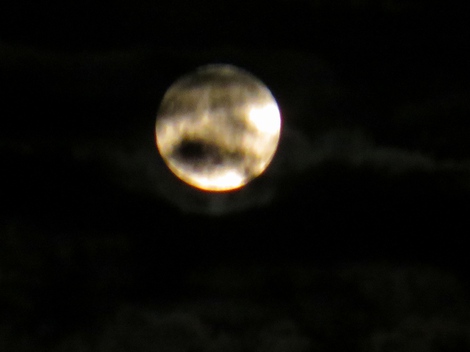中秋の名月・・２０２２年の夜