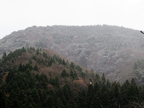 雪・・・北部って？