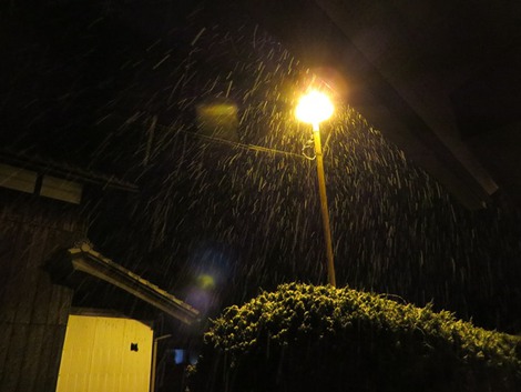 高島市　［発表］大雪，着雪注意報～山地で30センチの予想雪