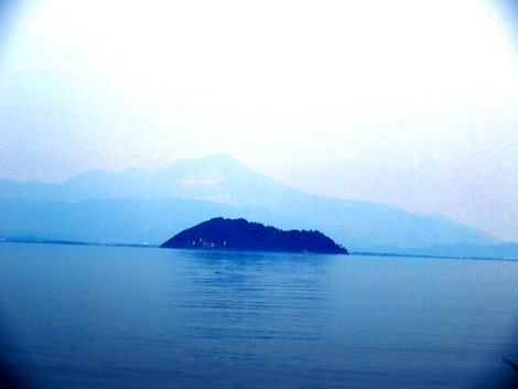 夕景琵琶湖と・・畦道にアジサイ