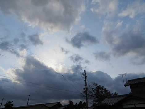 最後の柿・・風に揺れて