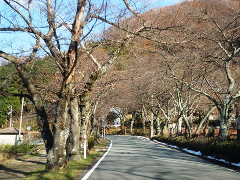 高島市内風景～晴れで冷たかった！