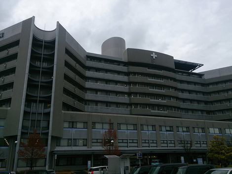 メタセコイヤ～高島市小雨の連続～草津市は・・