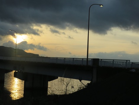 メタセコイヤ～高島市小雨の連続～草津市は・・