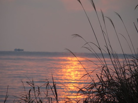 朝の琵琶湖から～ぼんやり「イブの朝」