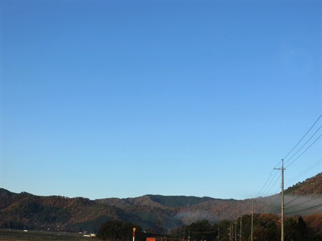 もう今月最後の土曜日・・晴れでした