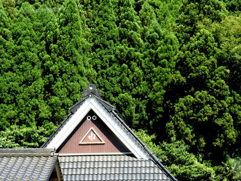 ふさわしい夏日で「海の日」でした