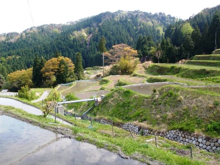 高島市畑地区の・・田んぼ