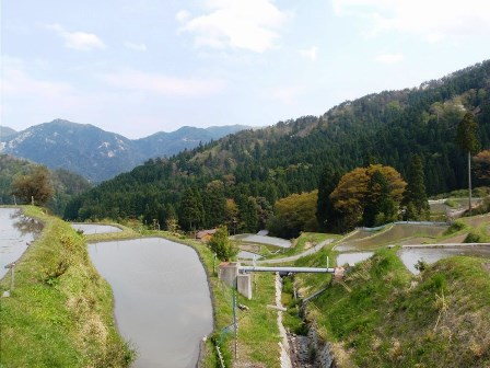 高島市畑地区の・・田んぼ
