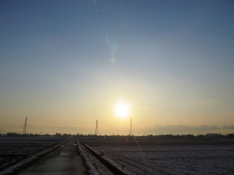 少し春の様子に見えた今朝の風景