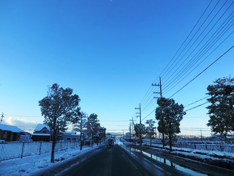 朝の雪風景・・やはり期待してしまいす