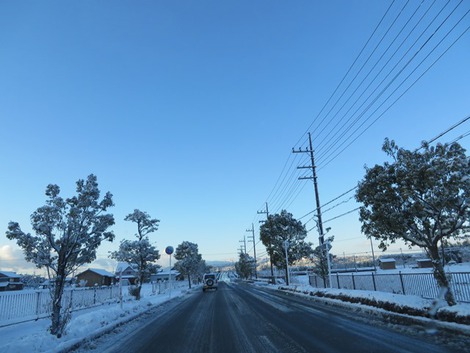 朝の雪風景・・やはり期待してしまいす