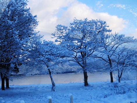 朝の雪風景・・やはり期待してしまいす