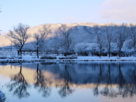 朝の雪風景・・やはり期待してしまいす