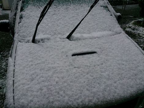 お昼は雪