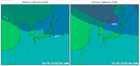 今日も晴れたり雪だったり～～メタセコイヤ並木も
