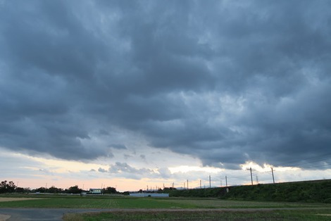 秋らしい天候で・・火曜日