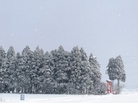 低温で・・雪風景～～降雪時と晴れ間と・・