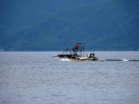 ユリの花と・・琵琶湖と田んぼにサギ～湖西線車窓は緑