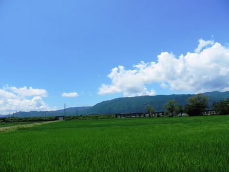 お昼から夏模様でした
