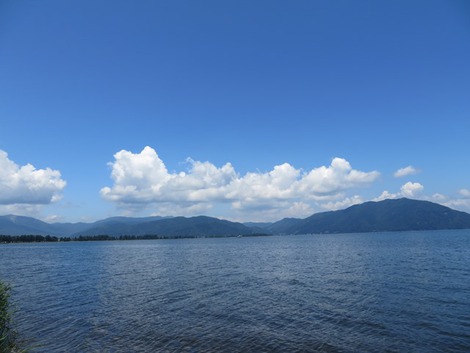 お昼から夏模様でした