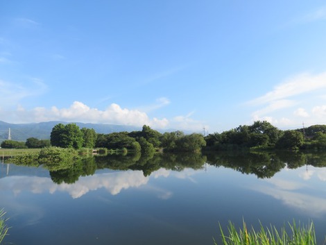 コウノトリも見えた風景・・暑かった金曜日