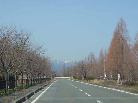 新旭町地先・・琵琶湖岸風景