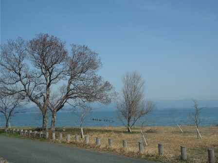 新旭町地先・・琵琶湖岸風景