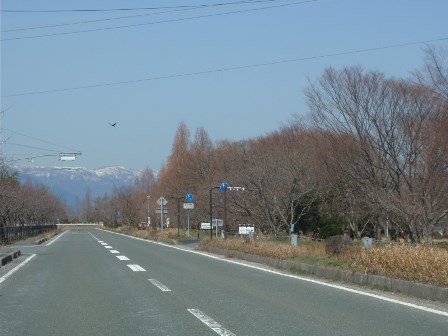 新旭町地先・・琵琶湖岸風景