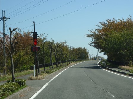 夕景も快晴・・田んぼ、乙女が池・・鯉のぼり